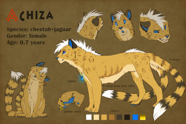 Achiza's reference sheet