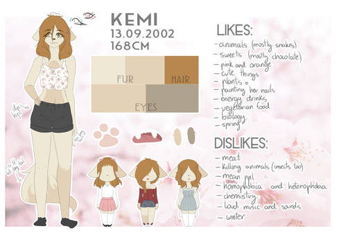 New Kemi's ref