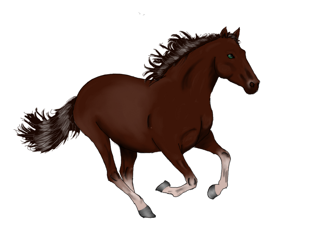 Brown galloping horse by Marshmallow-Face on DeviantArt