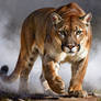 JSPconceptstudios | Apex Prowl | Wildlife Art