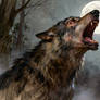 JSPconceptstudios | Lunar Curse | Werewolf Studies
