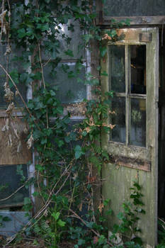 Old greenhouse stock