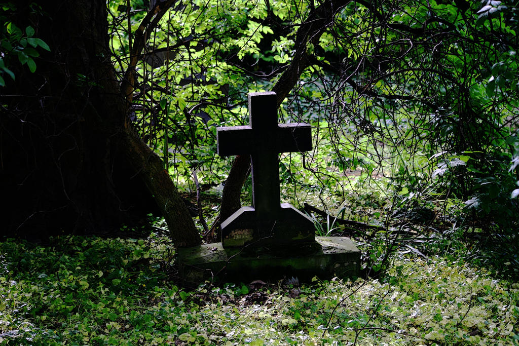 grave yard stock 5