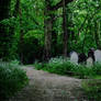 grave yard stock 8