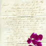 Scanned vin letter,petal stock