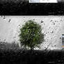 Rainy Day