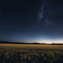 Night Sky Over Field