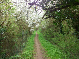 Bridleway to Elsewhere