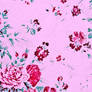 .flower pink texture II.