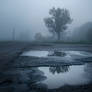 Foggy morning