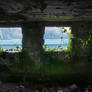3 windows