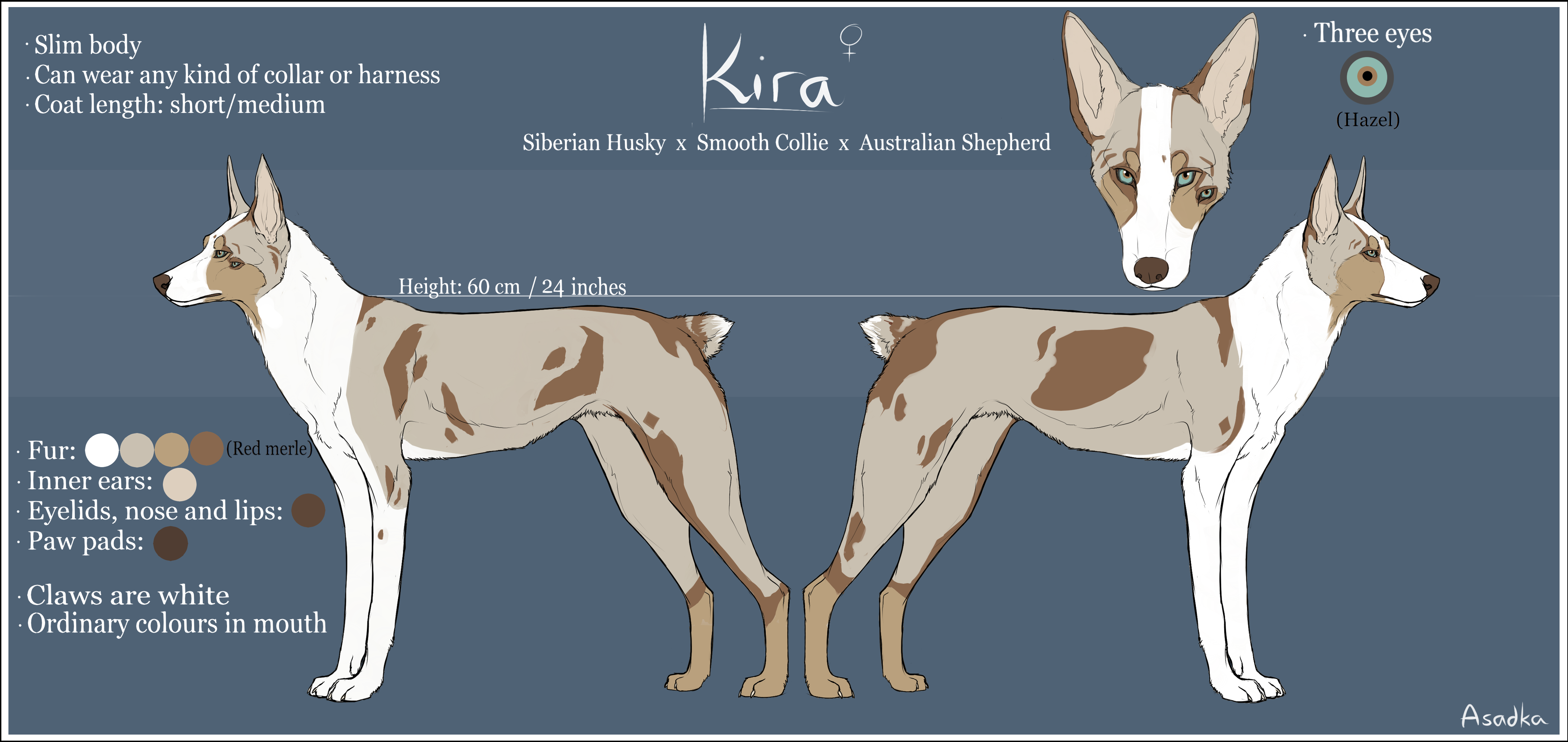 Kira - Reference Sheet