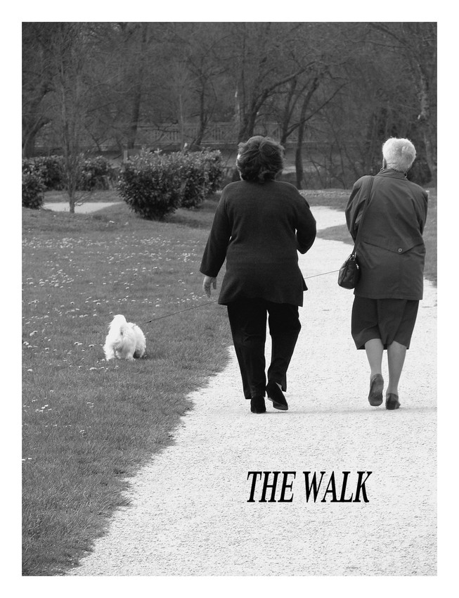 the walk