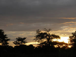 African Sunset