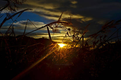 Baguio Sunset