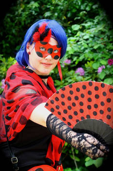 '50 Ladybug Cosplay