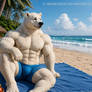 Benny Bear at the Beach
