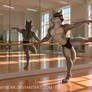 Mr. Wolf at the dance studio