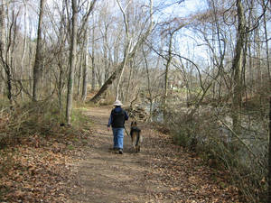 A walk with Max.