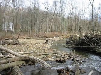 By the stream