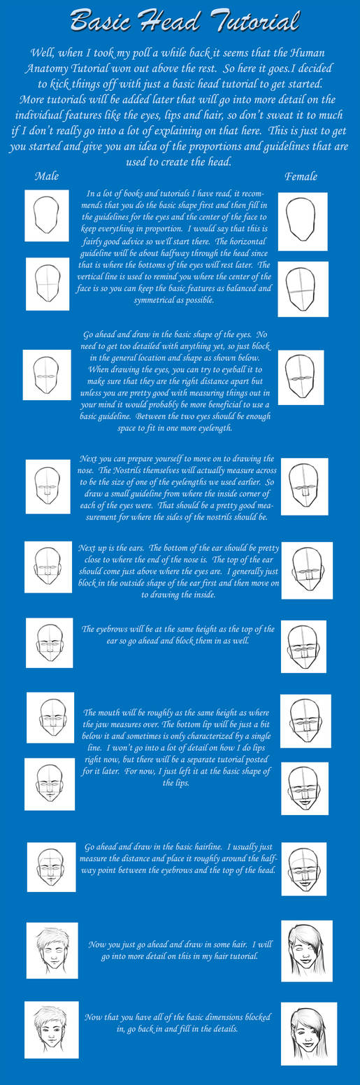 Drawing Heads Tutorial by Dark-Bahamut-Zero on DeviantArt