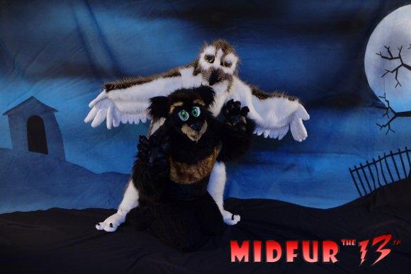 owl and Bear at midfur 13