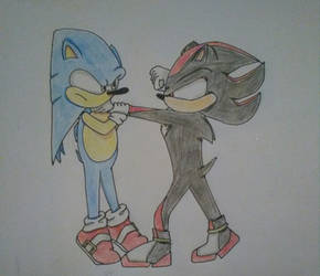 Don't annoy Shadow