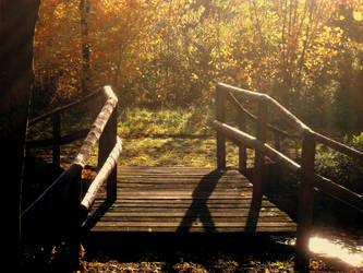 autumn bridge