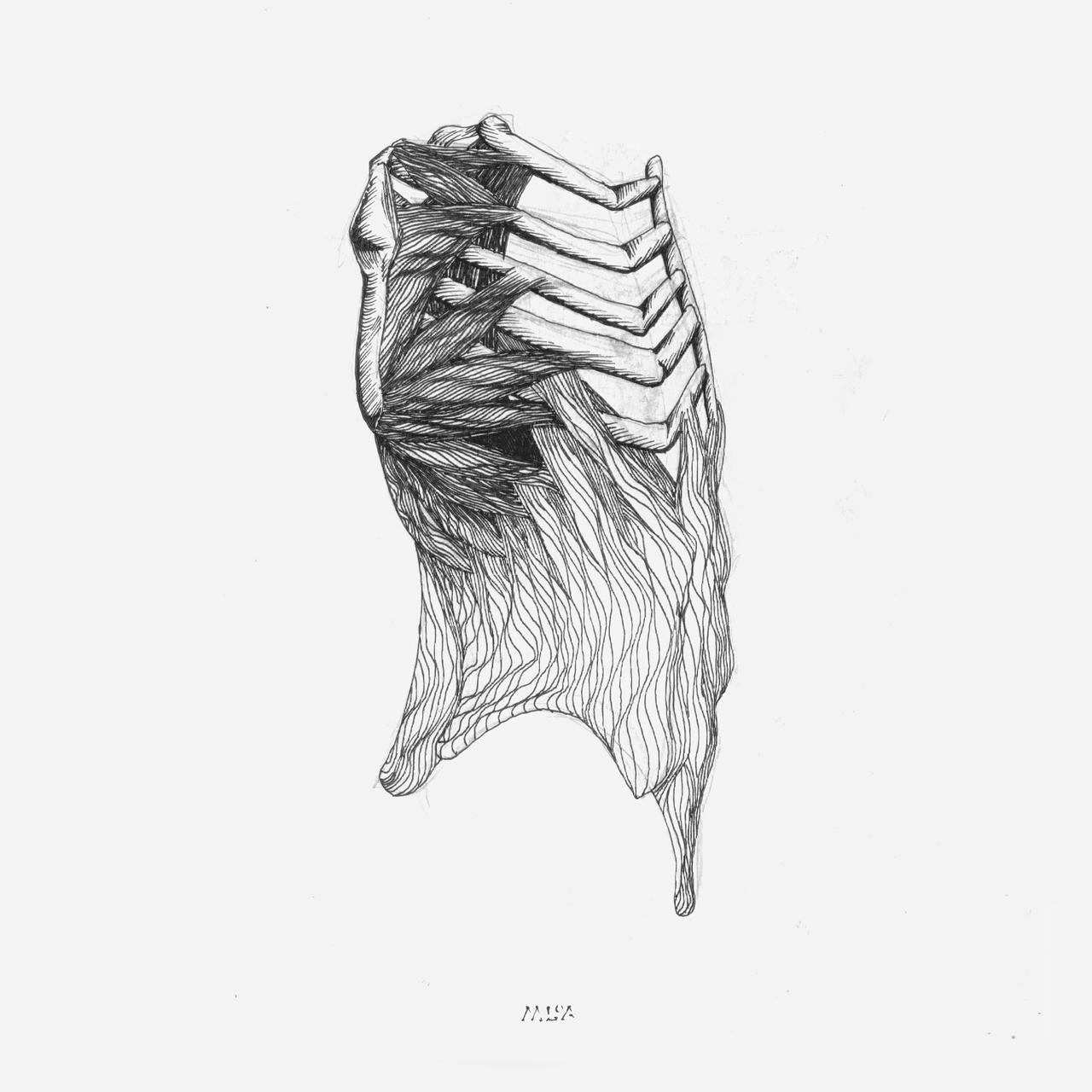 Deviantart Ribs Arched Curveart Wicked Anatomy Ribs by mightyloa on DeviantArt