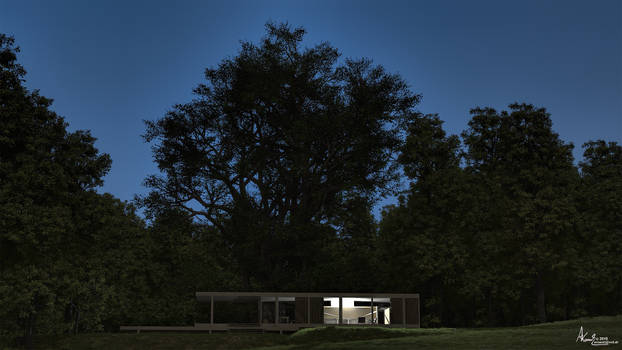 Farnsworth house - late evening