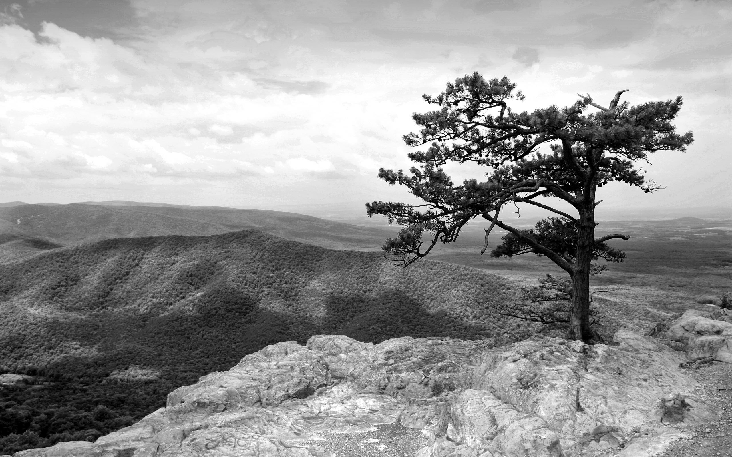 Blue Ridge Mountains