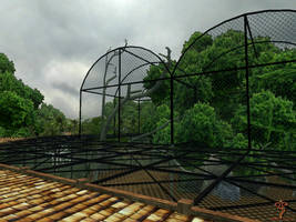 Endangered Monkey Cage Roof