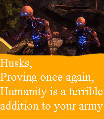 Husks