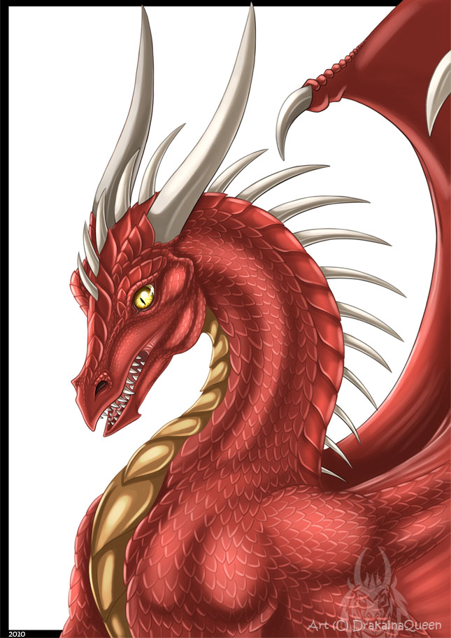 Curious Red Dragon