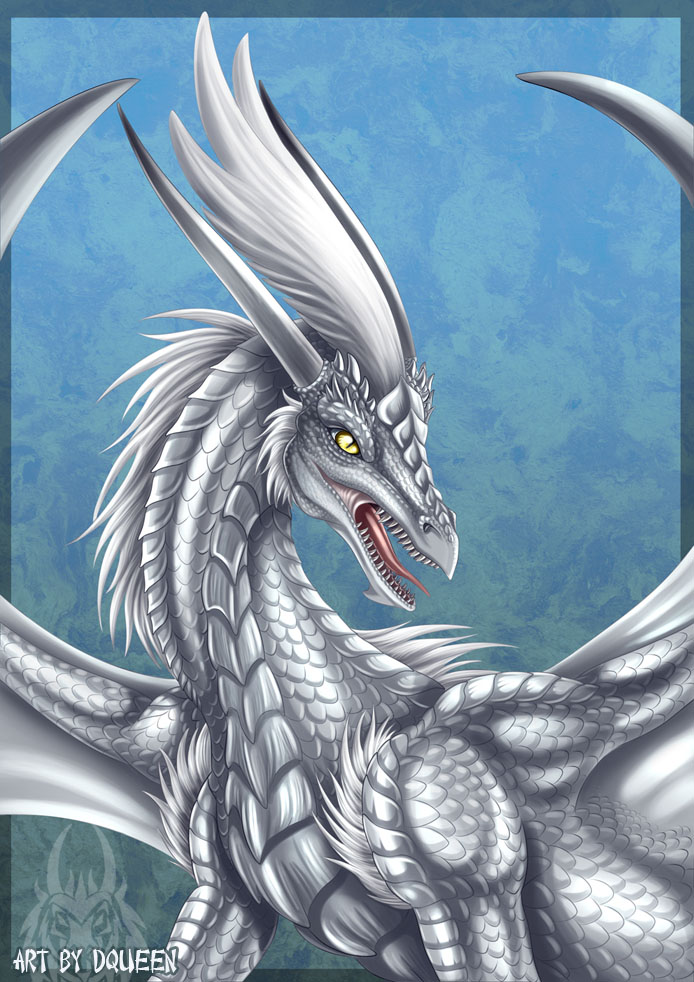 Silver Dragon Commission by DrakainaQueen on DeviantArt