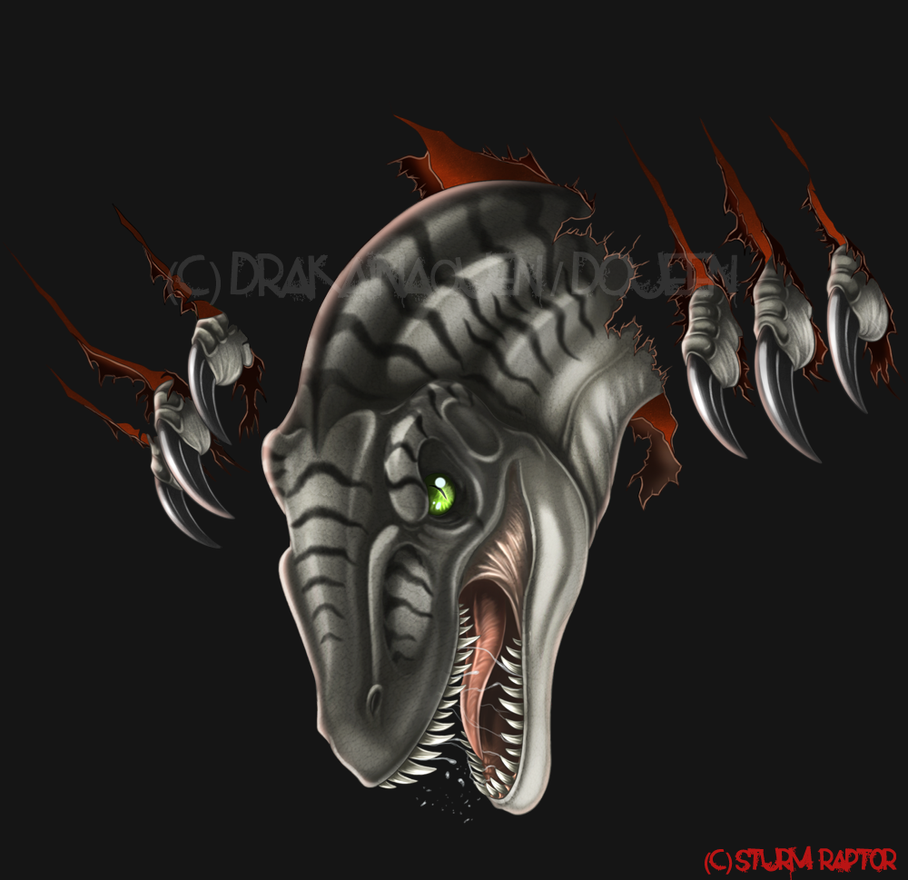 Authentic Raptor Face Raptor face by DrakainaQueen on DeviantArt