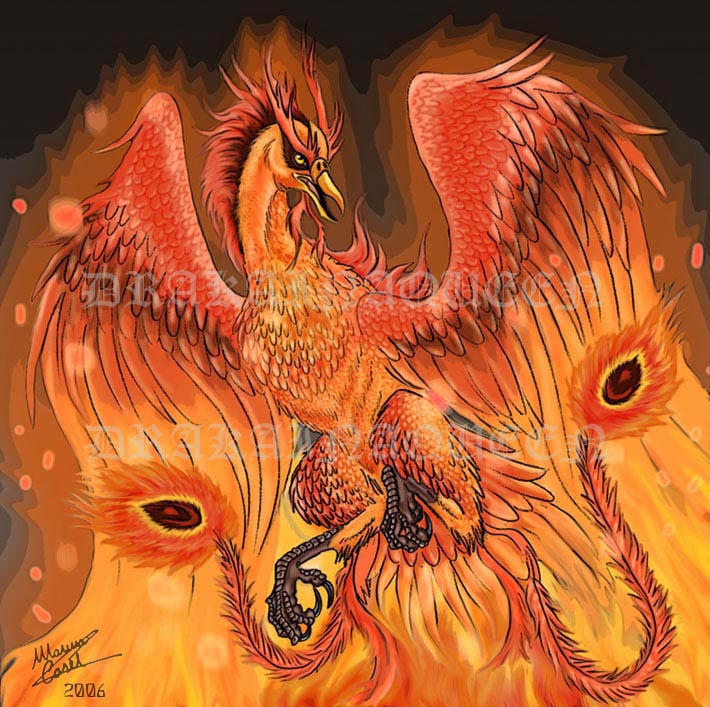 Phoenix Of Hope by DrakainaQueen on DeviantArt
