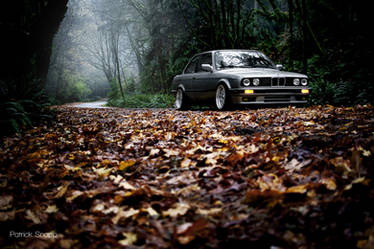 e30 fall REEDIT