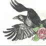 Rose in the Claws of a Crow