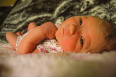 Abi - 2 days old