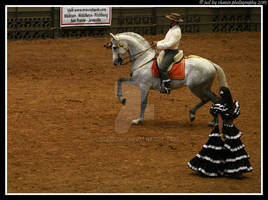 Andalusian 20