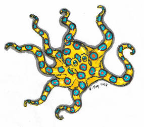 Blue ringed octopus