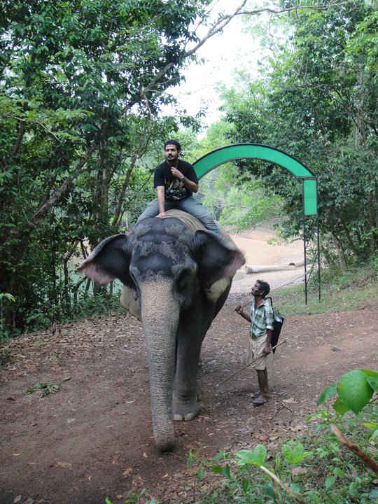 Female Indian Elephant Ride