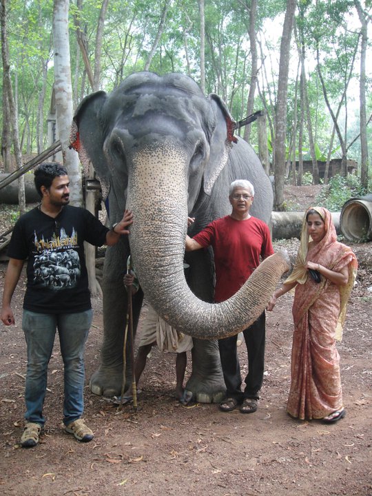 My Family with an Elephant