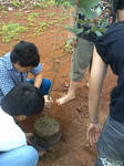 tree planting by fhia