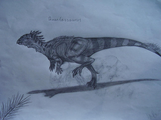 Quantassaurus Quantassaurus by Teratophoneus on DeviantArt