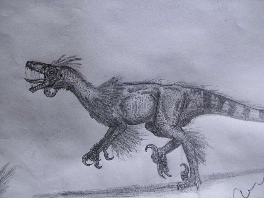 Pyroraptor by Teratophoneus