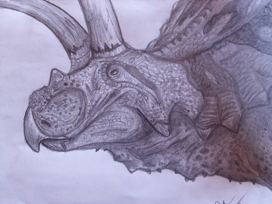 Coahuilaceratops by Teratophoneus