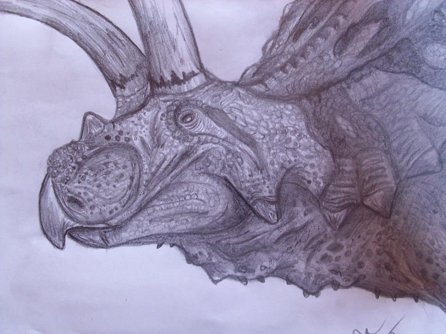 Coahuilaceratops