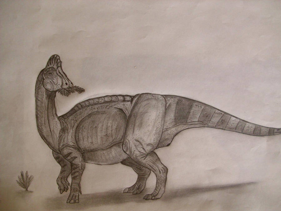 Jaxartosaurus